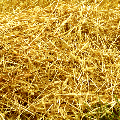 Hay, par Xavier E. G. Dierick